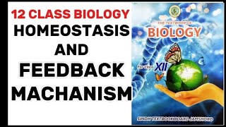 Homeostasis and feedback mechanism class 12sindhboard [upl. by Nilhtac]