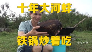 野外河里捡到六斤十年大河蚌，大铁锅炒着吃味道很赞【壮乡小莫】 [upl. by Airec272]