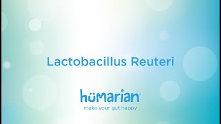 Lactobacillus Reuteri [upl. by Bea]