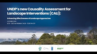 UNDPs new Causality Assessment for Landscapes Interventions CALI [upl. by Stannwood]