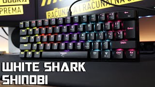 White Shark Shinobi 60 mehanička tipkovnica [upl. by Aseuqram940]