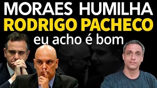 Bem feito Moraes caga na cabeça do Pacheco e eu acho que BOM Covarde [upl. by Mcnair]