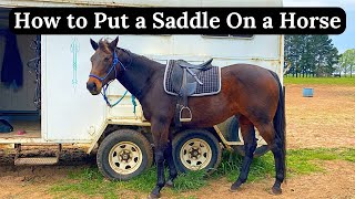 How to Put a Saddle on a Horse  How to Saddle a Horse  Horse Riding Tips [upl. by Semreh665]