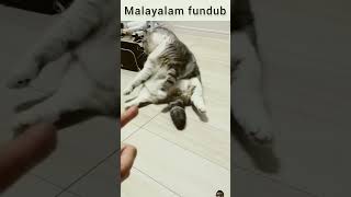 animal fundub 😂🤣 animalscomedy malayalam malayalamcomedy comedy cat funny shorts [upl. by Walke]