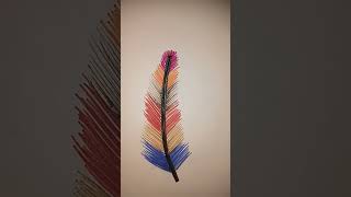 Feather  brightly coloured feather colourful sketched feather drawing [upl. by Ahtekal964]