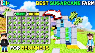 BEST SUGARCANE FARM FOR MINECRAFT POCKET EDITION 121  EASY TUTORIAL FOR BEGINNERS [upl. by Survance]