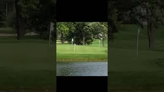 Ball Skipping on Pond Hits Flagstick [upl. by Crow]