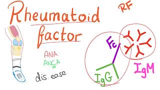 Rheumatoid Factor RF  Rheumatoid Arthritis RA  Joint disease Rheumatology series [upl. by Aicilaana858]