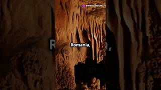 Movile Cave Romanias hidden time capsule 🦇🌍romania shorts uniqueplaces nature exploration [upl. by Karlin]