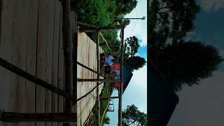 Offbeat Homestay in JhandiKalimpong DSAs Stay ⛰️🏡 dsasstay jhandihomestay offbeathomestay [upl. by Tewell894]