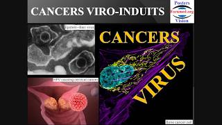 Les Virus de type Oncovirus entraînent des Cancers viroinduits par mutation génétique des Cellules [upl. by Ecilayram757]