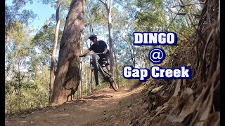 Dingo  Gap Creek Reserve [upl. by Lidda]