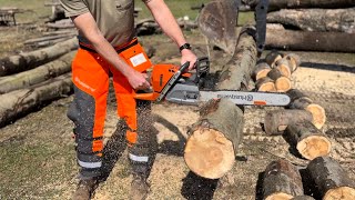 Stihl vs Husqvarna  Chainsaw Comparison Firewood [upl. by Nuhsyar355]