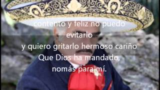 Hermoso cariño Vicente Fernandez con letra [upl. by Aramenta]