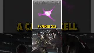 T cell killing cancer shorts [upl. by Plossl648]