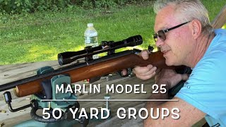 Marlin Model 25 rifle 4x scope at 50 yards Federal auto match [upl. by Camey]