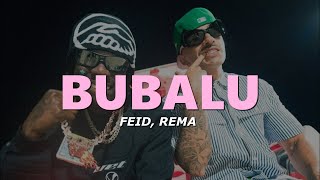 Feid Rema  Bubalu LetraLyrics dulcecita flow trululu cremita de coconut [upl. by Medrek]