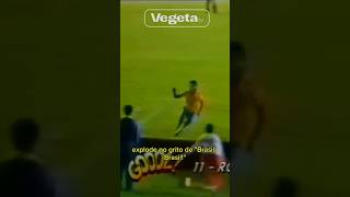 GOL DO TÍTULO DA COPA AMÉRICA MAIS IMPORTANTE DA HISTÓRIA DO FUTEBOL BRASILEIRO🏆 [upl. by Filide]