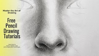 Free Pencil Drawing Tutorial How to Draw a Nose with Simple Tools [upl. by Aliekat]