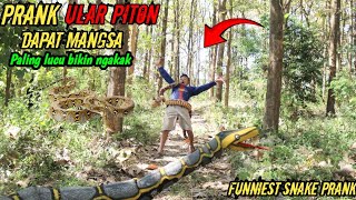 Prank Ular Piton Raksasa  Spesial Terlucu Paling Ngakak 🤣🤣 prank viral prankindonesia [upl. by Jenifer970]