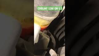 Chevy Silverado 1500 53 Leaking Coolant Check Here First [upl. by Eriha]