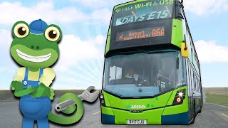 Geckos Real Vehicles  Buses  Vehicles For Kids  Geckos Garage  Learning For Kids [upl. by Anuhsal699]