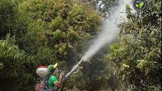 मिस्ट ब्लोअर व डस्टर और मोटरैस्ड स्प्रेयर  Mist Blower Duster and Motorized Sprayer [upl. by Chappell648]