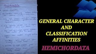 CLASSIFICATION AND AFFINITIES OF HEMICHORDATA hemichordate generalcharacterofhemichordat zoology [upl. by Pravit]