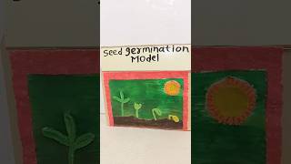 Easy seed germination model with clay  seed germination model making ideas with clayschoolproject [upl. by Eybba236]