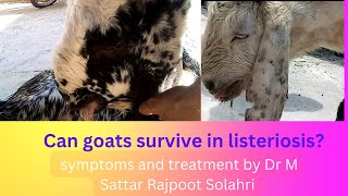 survival of Goats in Listeriosis by Dr MSA Rajpoot Solahri [upl. by Shaer160]