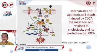 Role of UDCA in Various Liver Disorders [upl. by Ydor]