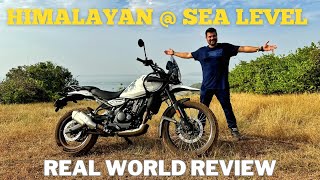 New Himalayan 450 At Sea Level  The Real Final Test  The Good And The Bad [upl. by Nylak]