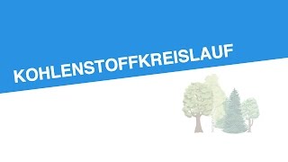 KOHLENSTOFFKREISLAUF  Biologie  Ökologie [upl. by Wellington764]