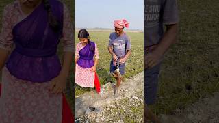 জালে পাখি বেঁধে গেলো😮 viralvideo farming village youtubeshorts funny agriculture comedy [upl. by Pallaton114]