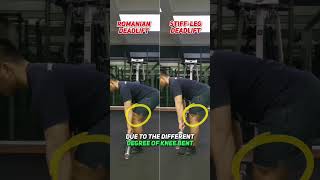 Romanian Deadlift vs Stiff Leg Deadlift [upl. by Tihw]