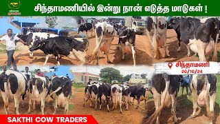 வாரம் வாரம் நான் செல்லும் சிந்தாமணி சந்தை cow vivasayaarvalargal [upl. by Ashelman]