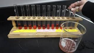 BI207  Lab 2  DampO Experiment [upl. by Suqram]