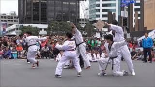 Howick Taekwondo Santa Parade Demonstration [upl. by Warton335]