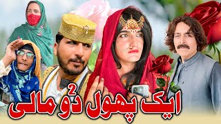 Ek Phool Do Mali New Funny Video Zalmi Vines 2024 [upl. by Narak]