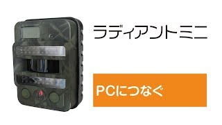 電池式防犯カメラ トレイルカメラ ラディアントミニ PCにつなぐ [upl. by Jeritah]