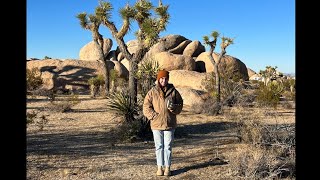 Car camping Joshua tree national park [upl. by Pfeffer]