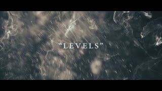 Any Given Day  Levels Official Lyric Video [upl. by Akanke]