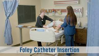 Level 1  Foley Catheter Insertion [upl. by Leinto]