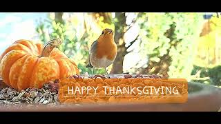 HAPPY THANKSGIVING [upl. by Geno]