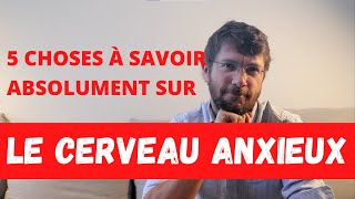 5 choses à savoir absolument sur le cerveau anxieux [upl. by Eyot]