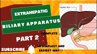 Extrahepatic biliary apparatus  Part 2  complete ayeshamedicaleducation [upl. by Brear]