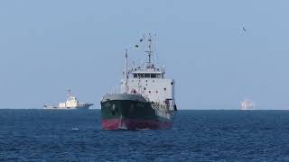 ICHIE MARU 逸愛丸 ChemicalタンカーChemical Tanker [upl. by Sproul]