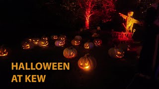 🎃 Spooky Gardens Halloween at Kew London 2024  Full Trail [upl. by Alleuqahs]