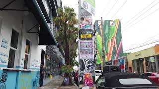 Wynwood Miami  Florida real live [upl. by Annahaj534]