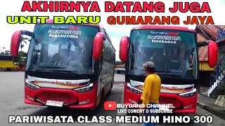 Akhirnya datang juga unit terbaru Gumarang jaya class medium 200224 [upl. by Philipp]